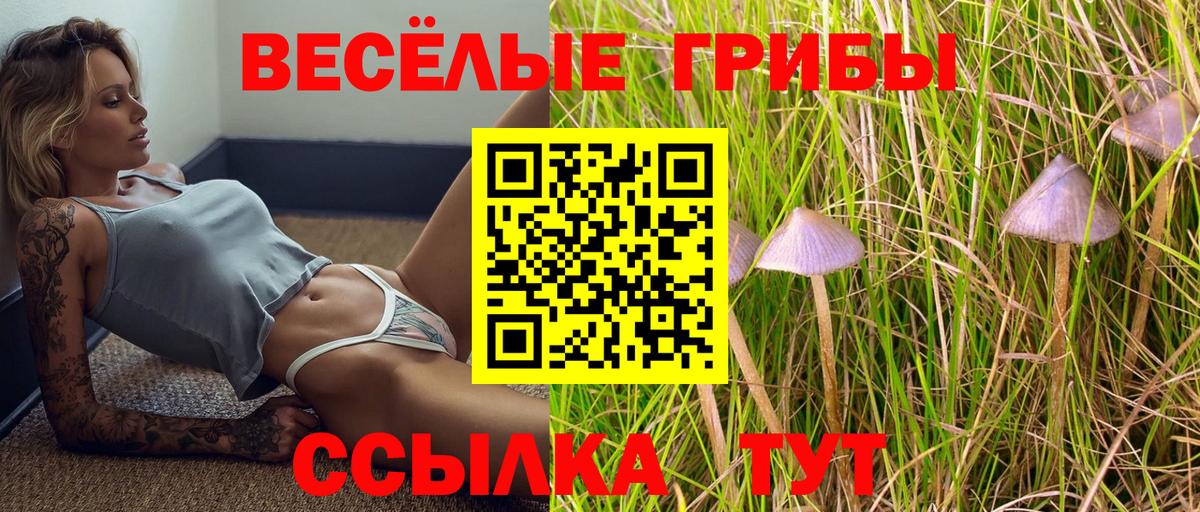 Псилоцибиновые грибы Psilocybine cubensis  Вход с VPN  Галлюциногенные грибы прущие грибы  наркошоп  Южноуральск 
